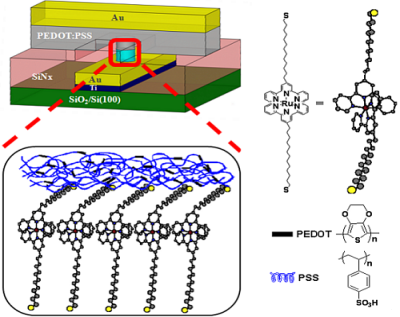 Scientists develop molecular memory device using monolayer image